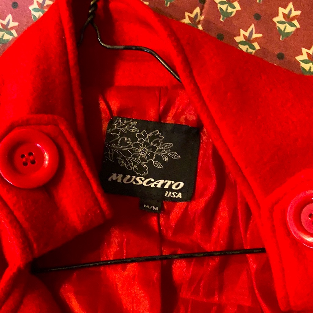 Fall Red Jacket